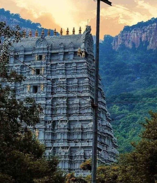 Untitled design - 2025-08-20T120348.533